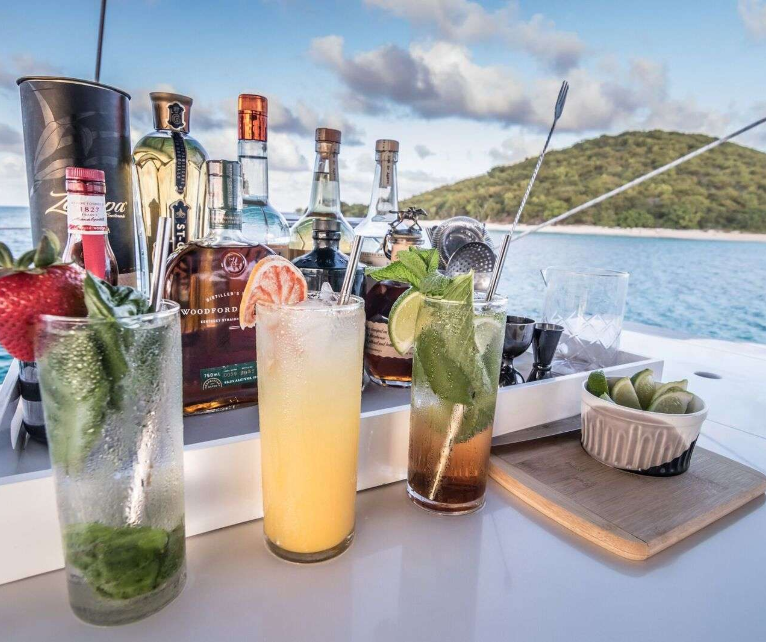 Basic Wine, Bartending & Mixology