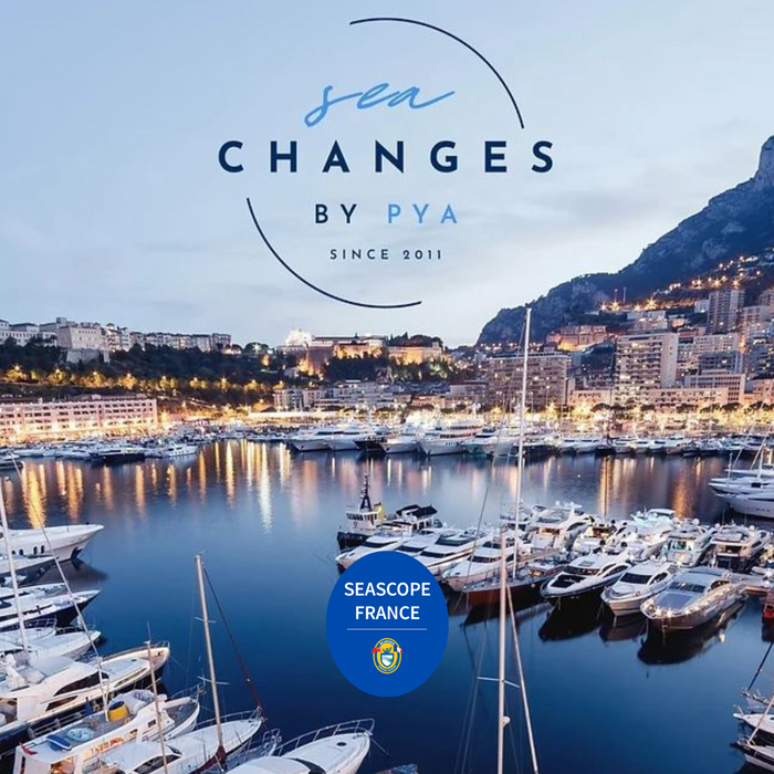 Meeting With the Industry Professionals