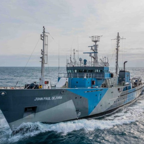 Committed to Protect Marine Life
